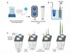 Ilmuwan Kembangkan Tanah Elektronik, Bantu Percepat Pertumbuhan Tanaman