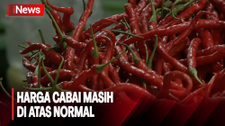 Laporan Langsung Harga Cabai di Pasar Tradisonal, Mulai Turun tapi Masih di Atas Normal