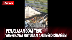 Polres Sragen Beri Penjelasan soal Truk yang Bawa Ratusan Anjing