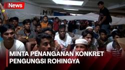 Kirim Surat Terbuka, Ulama Aceh Minta Penanganan Konkret Pengungsi Rohingya kepada Presiden Jokowi