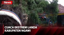 Hujan Deras dan Angin Kencang Landa Ngawi, Sejumlah Pohon Tumbang-Bangunan Rusak
