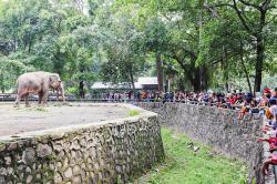 90.000 Orang Liburan di Taman Margasatwa Ragunan