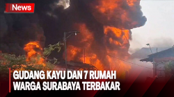 Diduga Dipicu Kembang Api, Gudang Kayu dan 7 Rumah Warga Surabaya Hangus Terbakar 