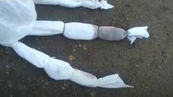 Teror Pocong Kecil Resahkan Warga Pasuruan, Diletakkan OTK Malam Hari di Depan Pintu Rumah<