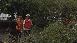 Pohon Tumbang di Jalur Rel, KA Bhatara Kresna Tertahan di Stasiun Solo Kota<
