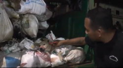 Polrestabes Semarang Gagalkan Pengiriman 226 Anjing dari Subang ke Solo Diduga untuk Dijagal<