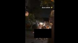 Viral 2 Bule Diduga Mabuk Pamer Kelamin ke Pengendara Motor di Bali