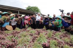 Dialog dengan Petani Bawang Merah di Brebes, Ganjar Catat 3 Keluhan Utama