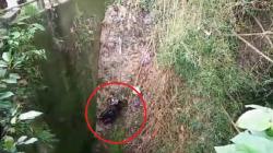 Geger ODGJ di Gianyar Buang Motor ke Jurang Sedalam 20 Meter<