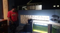 Viral Maling Cebok di Akuarium, Pemilik Rumah: Pas Naik Tembok Celananya Sudah Merosot