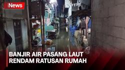 Ratusan Rumah di Kampung Nelayan Masih Terendam Banjir Air Pasang Laut