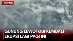 Gunung Lewotobi Meletus Lagi, Waspada Lahar Dingin