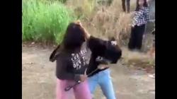 Viral Video 2 Gadis di Palembang Duel Pakai Sabit sampai Berdarah-darah