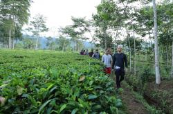 Ganjar Manfaatkan Udara Segar Pegunungan di Banjarnegara dengan Olahraga Pagi