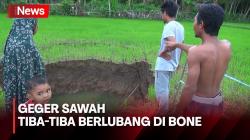 Penampakan Sawah Warga yang Tiba-Tiba Berlubang dan Diameter Terus Membesar di Bone 