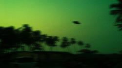 Sempat Bikin Heboh, Misteri Alien Peru Akhirnya Terungkap