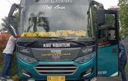 Kecelakaan di Semarang, Bus Rombongan Anak TK asal Pemalang Tabrak Pohon-Mobil