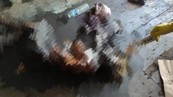 Temuan Mayat Wanita dalam Peti Kemas di Tanjung Priok, Polisi: Diduga Kekurangan Oksigen