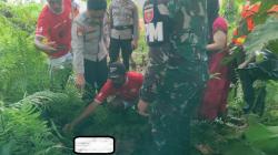 Kolaka Heboh, Warga Temukan Mayat Bayi saat Cari Kayu Bakar di Semak-Semak