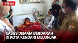Demam Berdarah di Kota Kendari Melonjak, Dua Pasien Balita Meninggal Dunia
