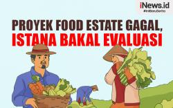 Infografis Proyek Food Estate Dinilai Gagal, Istana Bakal Evaluasi