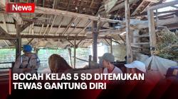 Tragis, Bocah Kelas 5 SD Ditemukan Tewas Gantung Diri di Kandang Sapi Pamannya