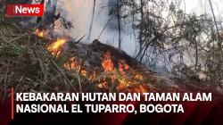 4,5 Hektar Taman Alam Nasional El Tuparro di Bogota Terbakar