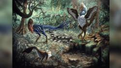 Pesan Fosil Dinosaurus Secara Online, Mahasiswa Ini Malah Dapat Temuan Mengejutkan