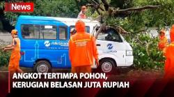 Pohon Tumbang Timpa Angkutan Umum di Cakung, Kerugian Capai Belasan Juta Rupiah