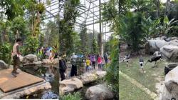 Ajak Anak Mengenal Flora dan Fauna sejak Dini, Ternyata Ini Manfaatnya