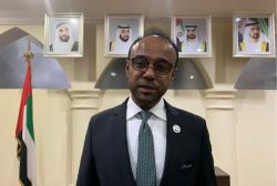 UEA Mau Investasi Energi Terbarukan di IKN, Apa Alasannya?