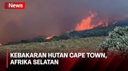 Kebakaran Hutan Tak Terkendali di Pegunungan sekitar Cape Town, Afrika Selatan