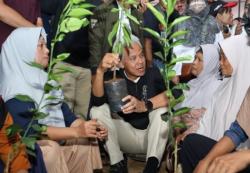Ciptakan Lapangan Kerja-Perkuat Ketahanan Pangan, Ganjar Puji Pembibitan Holtikultura di Purworejo