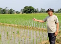 KTNA Jabar Pastikan Mekanisasi Pertanian di Sentra Produksi Berjalan Masif