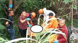 Sukabumi Geger, Tengkorak Manusia Ditemukan di Semak-Semak Pinggir Jalan<