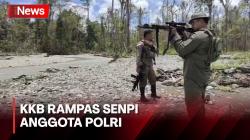 KKB Rampas Senpi Anggota Polri, Kapolda Papua Sebut Anggotanya Ceroboh