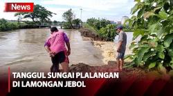 Tanggul Sungai Plalangan di Lamongan Jebol, Puluhan Hektare Tambak dan Rumah Kebanjiran