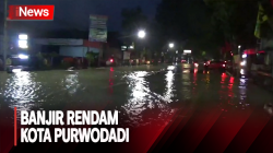 Video Kota Purwodadi Terendam Banjir, Beberapa Titik Jalan Menuju Kota Ditutup 