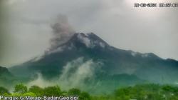 Erupsi Gunung Merapi, Luncurkan Awan Panas Sejauh 1.500 Meter