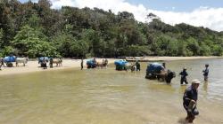 Distribusi Logistik Pemilu, Polisi di Lampung Jalan Kaki 20 Km hingga Pakai Gerobak Sapi