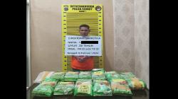 Kurir Narkoba di Langkat Ditangkap, 13 Kg Sabu Disita<