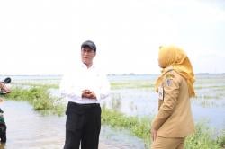 Kunjungi Korban Banjir Demak, Mentan Beri Bantuan Benih Padi 10.000 Hektare hingga Sarana Pertanian