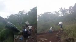 Dramatis, Petugas Bawa Logistik Pemilu Mendaki Gunung Lewati Lembah di Ende NTT<