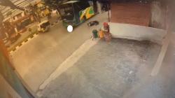 Detik-Detik Pengendara Motor Tewas Terlindas Bus Trans Metro Deli di Medan Terekam CCTV