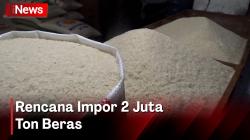 Kelangkaan Beras, Pemerintah akan Impor 2 Juta Ton dari Thailand