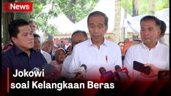  Kelangkaan Beras, Jokowi : Stok Nggak Masalah yang Penting Distribusi