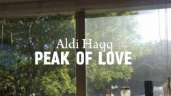 Lirik Lagu Peak of Love - Aldi Haqq dan Terjemahan, Viral di Instagram dan TikTok