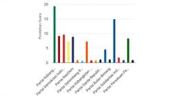Real Count KPU DPR RI Dapil Banten I, 2 Anak dan Suami Bupati Pandeglang Bersaing Sengit<