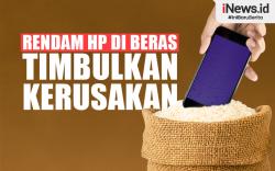 Infografis Rendam HP di Beras Bisa Timbulkan Kerusakan