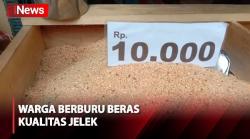 Beras Kualitas Jelek Diburu Warga untuk Siasati Harga yang Terus Naik